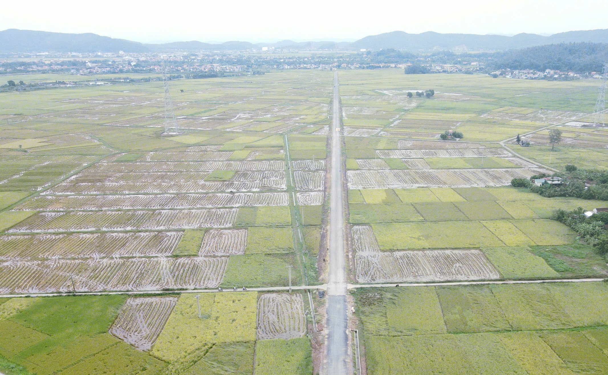 N&ocirc;ng d&acirc;n gặt l&uacute;a xuy&ecirc;n đ&ecirc;m chạy si&ecirc;u b&atilde;o Yagi- Ảnh 11.