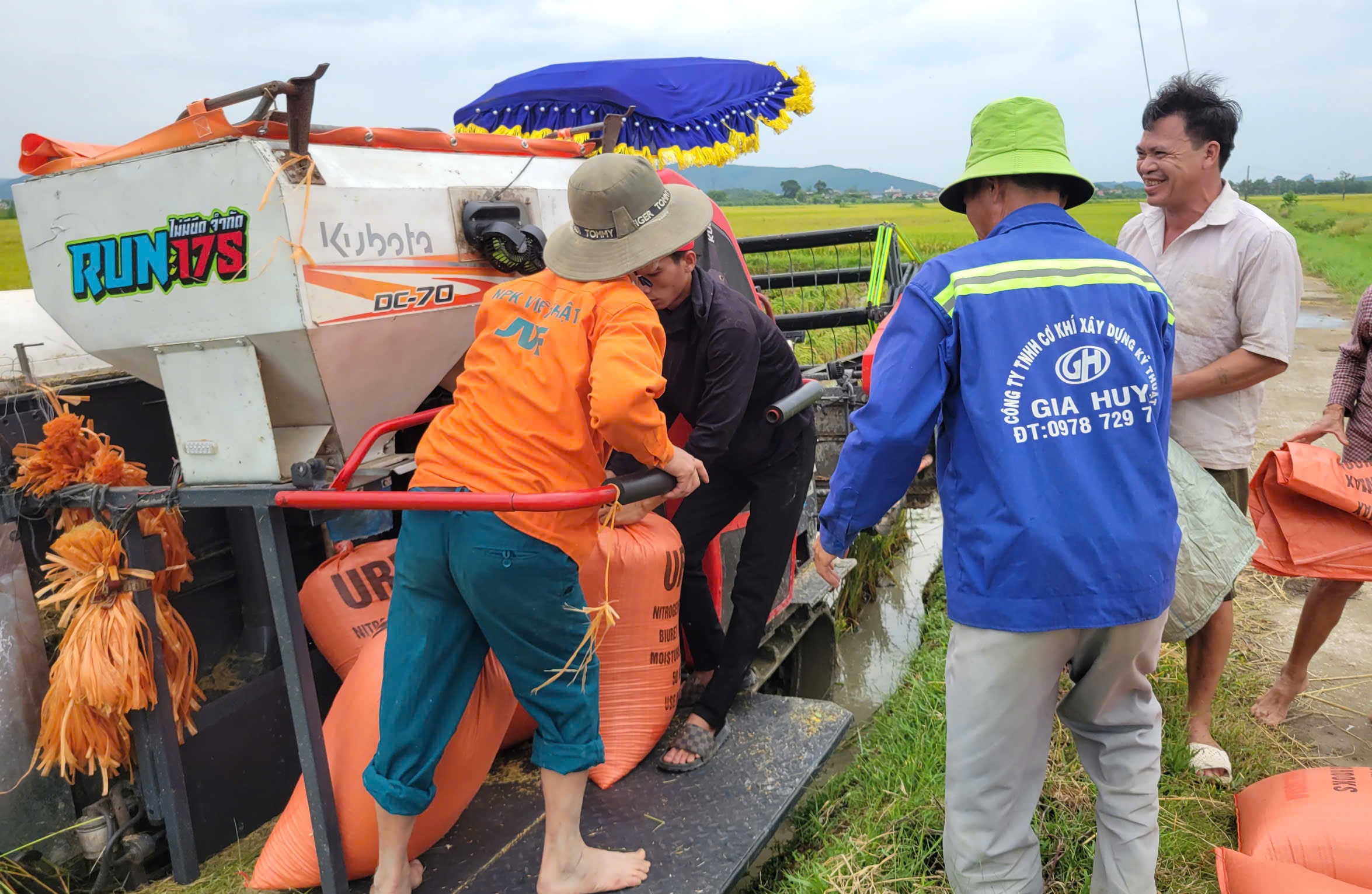 N&ocirc;ng d&acirc;n gặt l&uacute;a xuy&ecirc;n đ&ecirc;m chạy si&ecirc;u b&atilde;o Yagi- Ảnh 8.