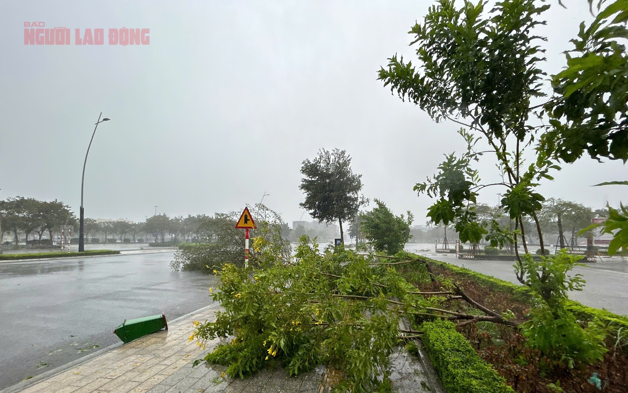 Th&agrave;nh ủy TP HCM chỉ đạo khẩn ứng ph&oacute; b&atilde;o số 3, sẵn s&agrave;ng chia sẻ c&aacute;c địa phương