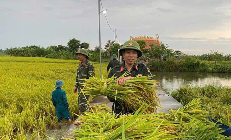 VIDEO: L&atilde;nh đạo Bộ NN-PTNT chỉ đạo ứng ph&oacute; b&atilde;o số 3 tại Thanh H&oacute;a- Ảnh 3.