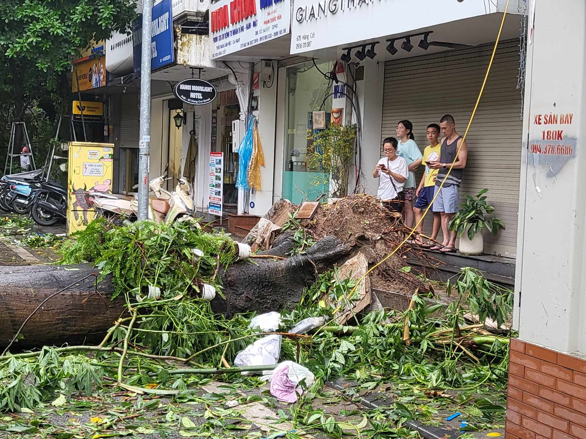 Tiếc nuối những "cụ c&acirc;y" trăm tuổi bật gốc trong b&atilde;o số 3 tr&ecirc;n phố cổ H&agrave; Nội- Ảnh 5.