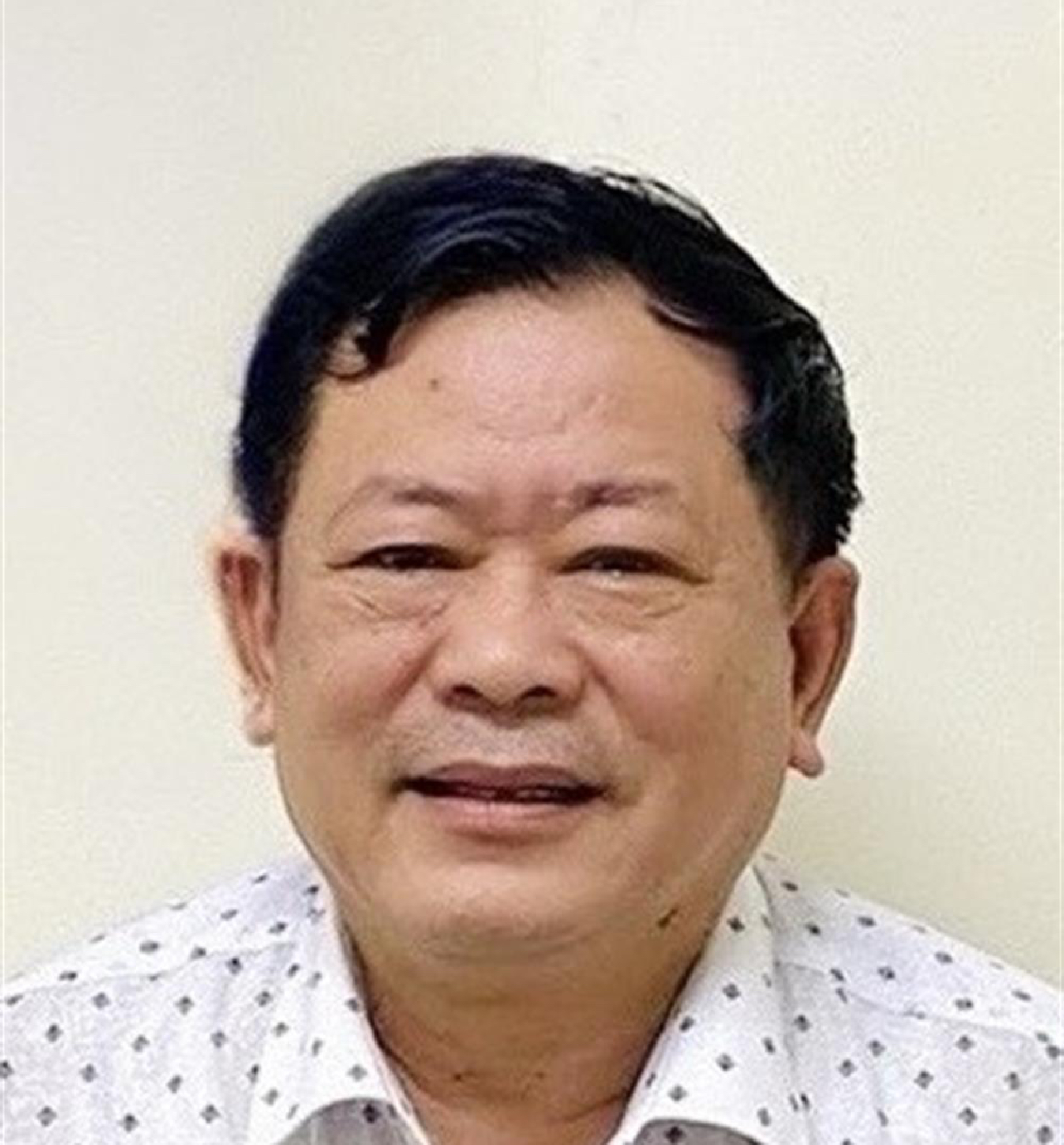 &Ocirc;ng Trần Đ&igrave;nh Triển lĩnh &aacute;n 3 năm t&ugrave;- Ảnh 1.