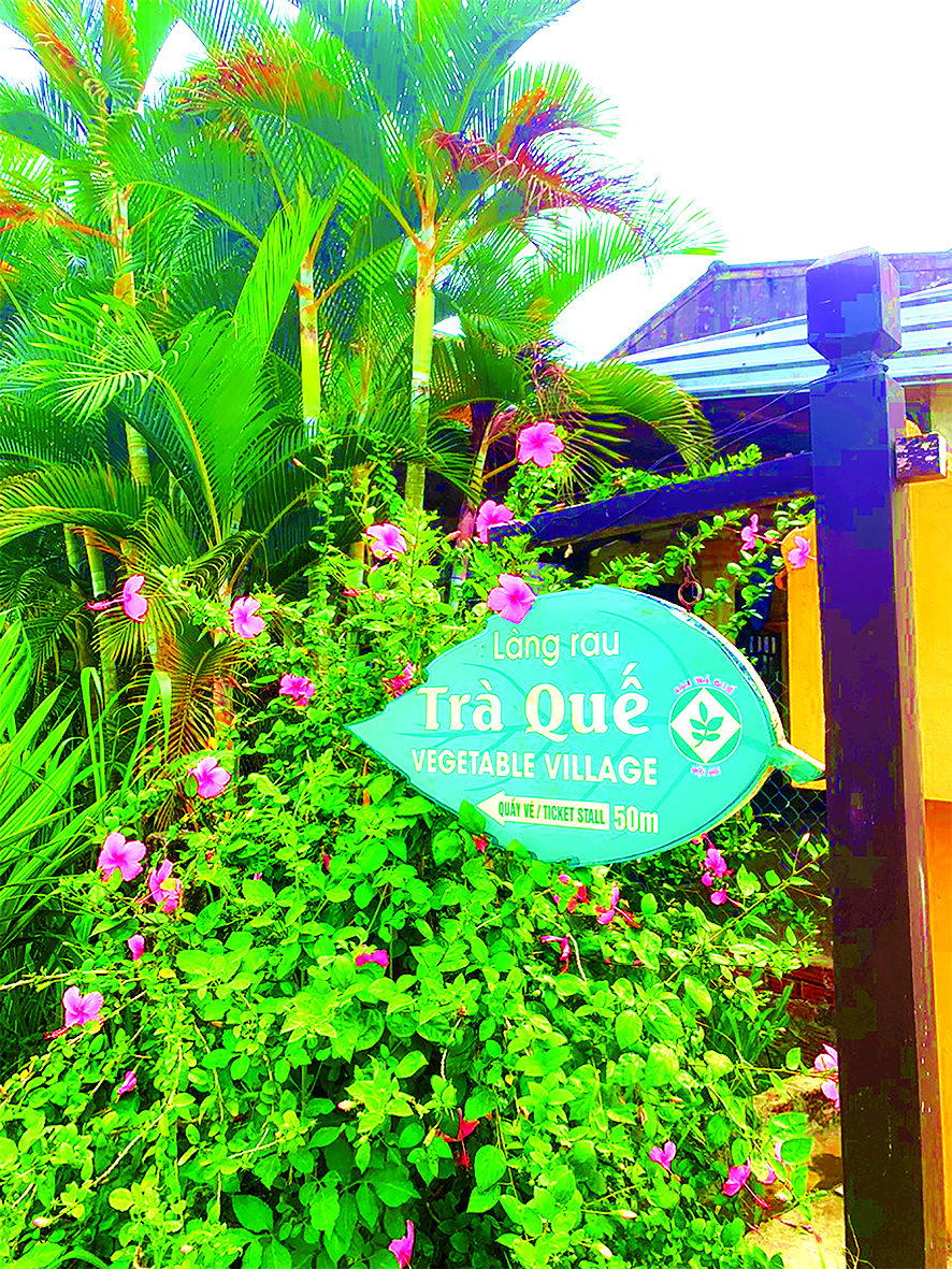Phải lòng Trà Quế 1 copy.jpg