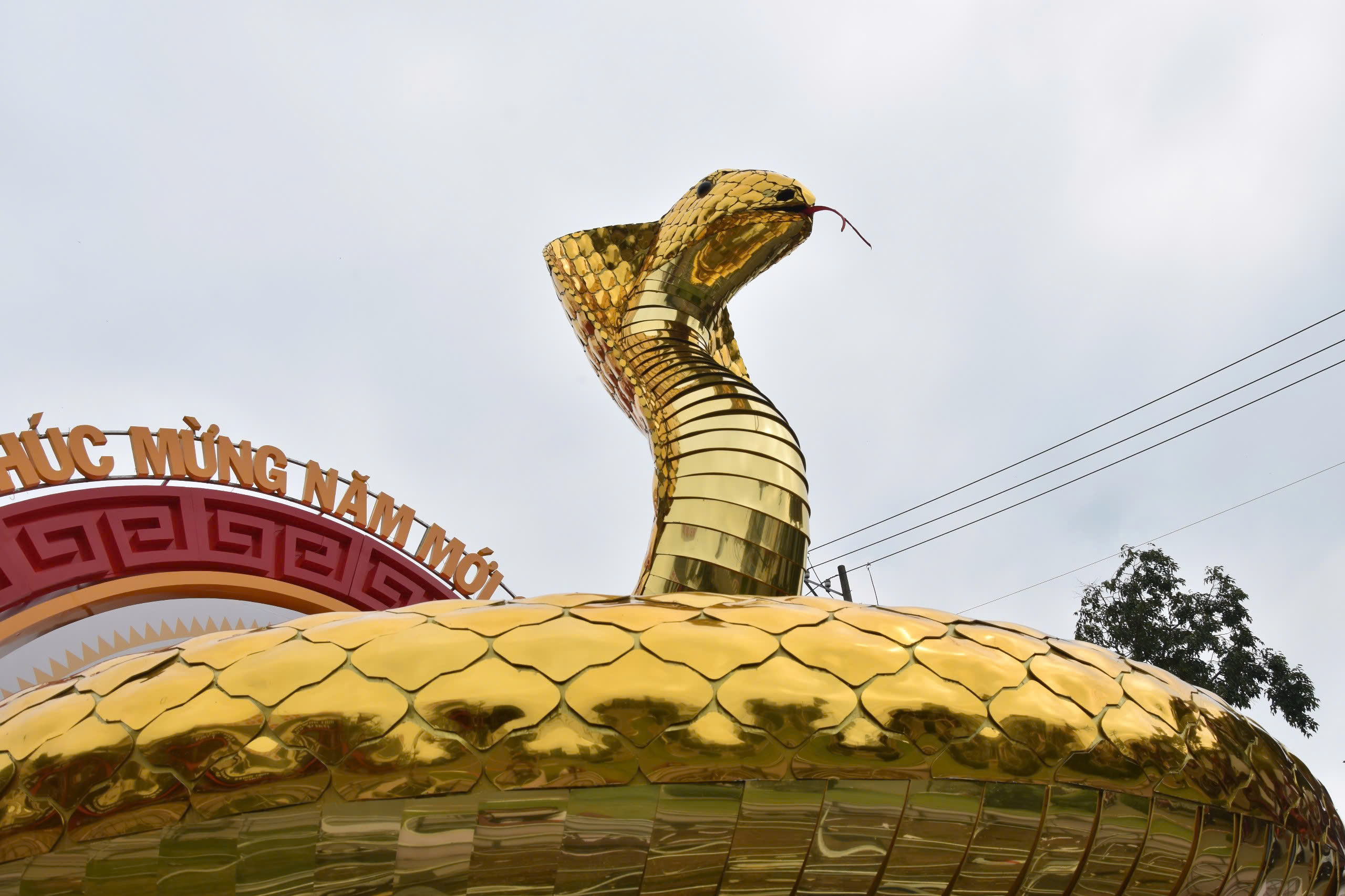 Linh vật rắn của tỉnh, th&agrave;nh n&agrave;o đẹp nhất Tết Ất Tỵ 2025?- Ảnh 40.