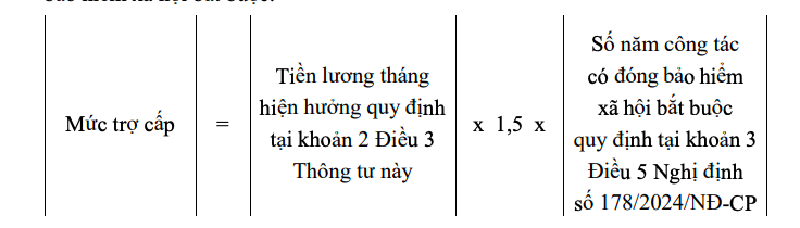 C&aacute;ch t&iacute;nh hưởng ch&iacute;nh s&aacute;ch nghỉ th&ocirc;i việc đối với c&aacute;n bộ, c&ocirc;ng chức- Ảnh 4.