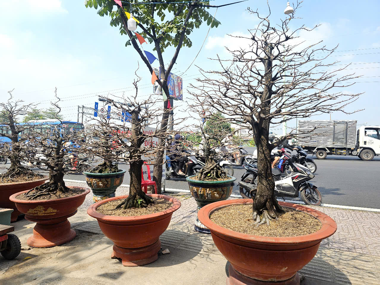 Mai Tết  bắt đầu &ldquo;tr&agrave;n&rdquo; ra đường, kh&ocirc;ng kh&iacute; Tết tr&agrave;n ngập TP HCM- Ảnh 7.