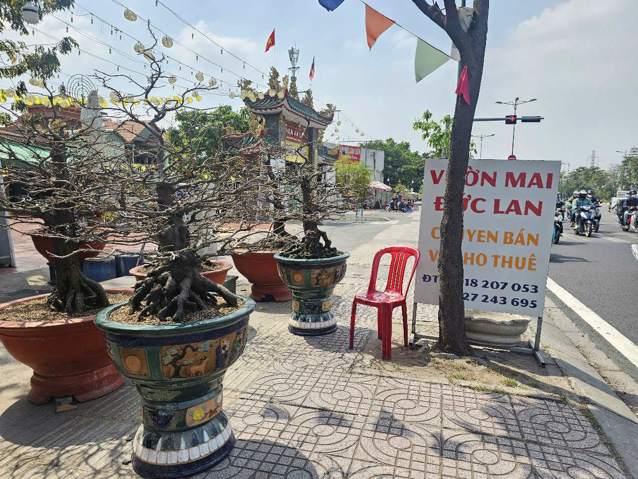 Mai Tết  bắt đầu &ldquo;tr&agrave;n&rdquo; ra đường, kh&ocirc;ng kh&iacute; Tết tr&agrave;n ngập TP HCM- Ảnh 5.