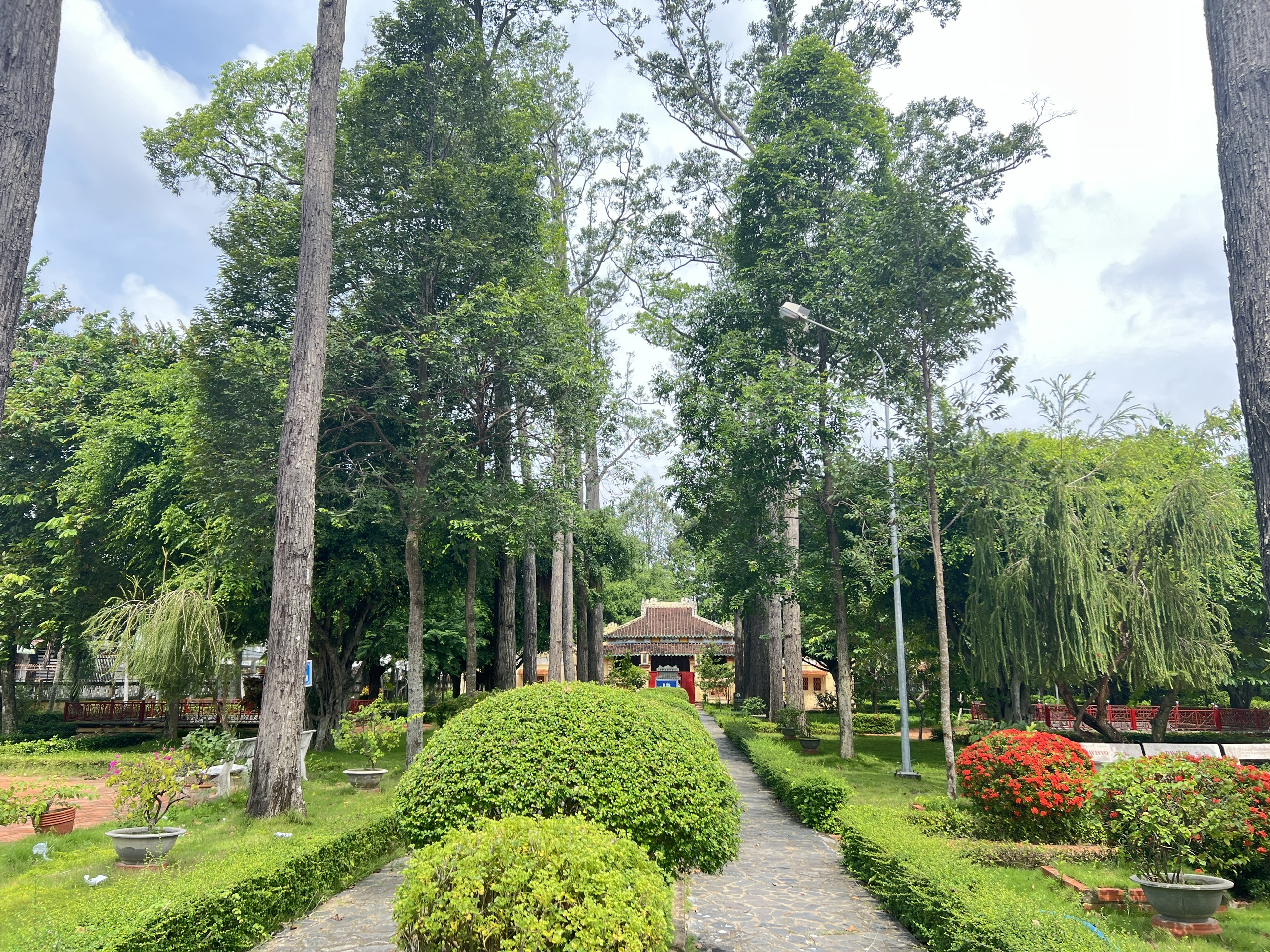 CLIP: Chiêm ngưỡng