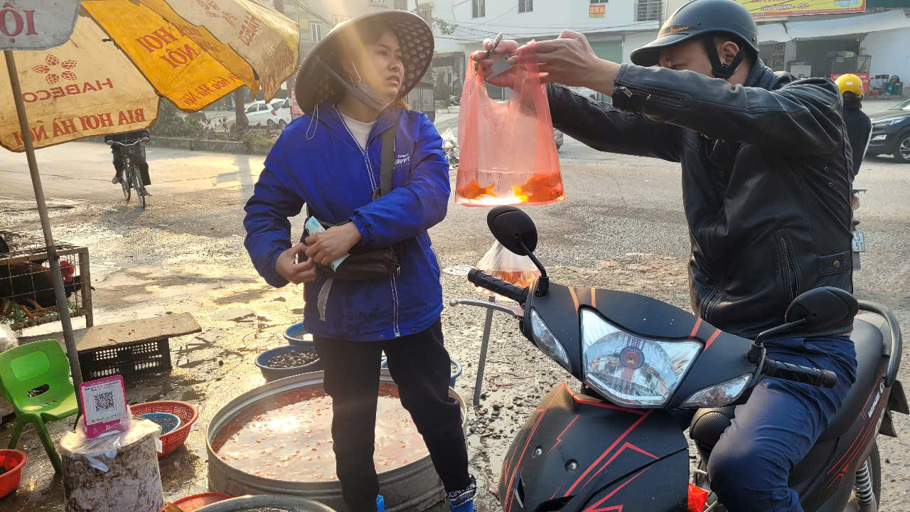 C&aacute; ch&eacute;p c&uacute;ng &ocirc;ng C&ocirc;ng, &ocirc;ng T&aacute;o "tr&agrave;n ngập" chợ, tiểu thương lo ế- Ảnh 3.