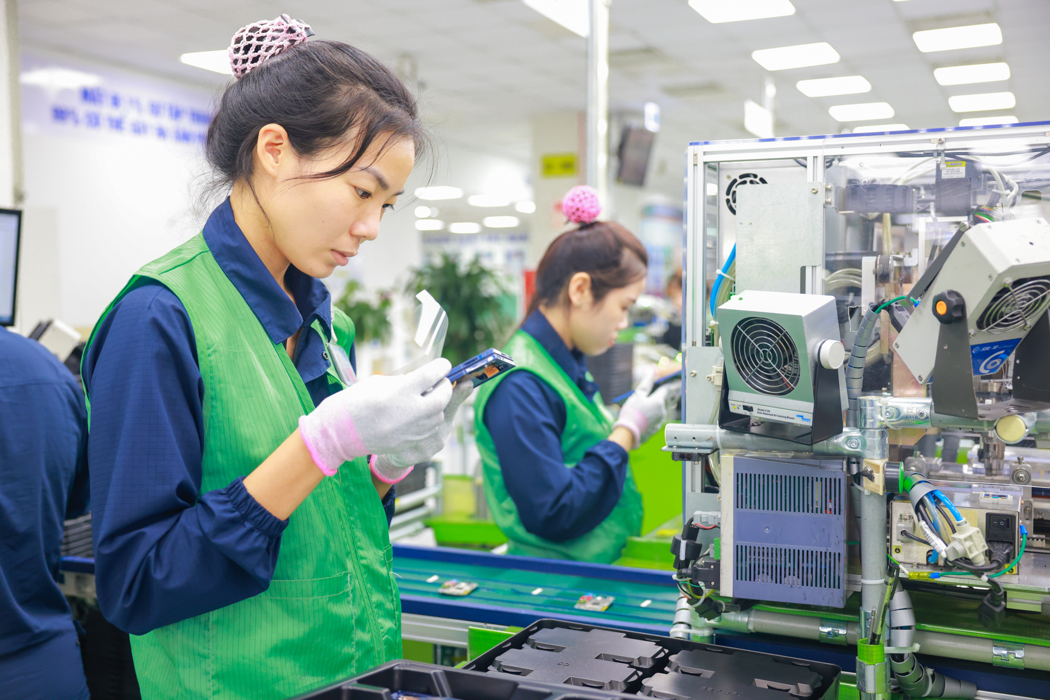 Xuất khẩu "khai xu&acirc;n" sớm, đ&oacute;n lộc đầu năm mới- Ảnh 1.