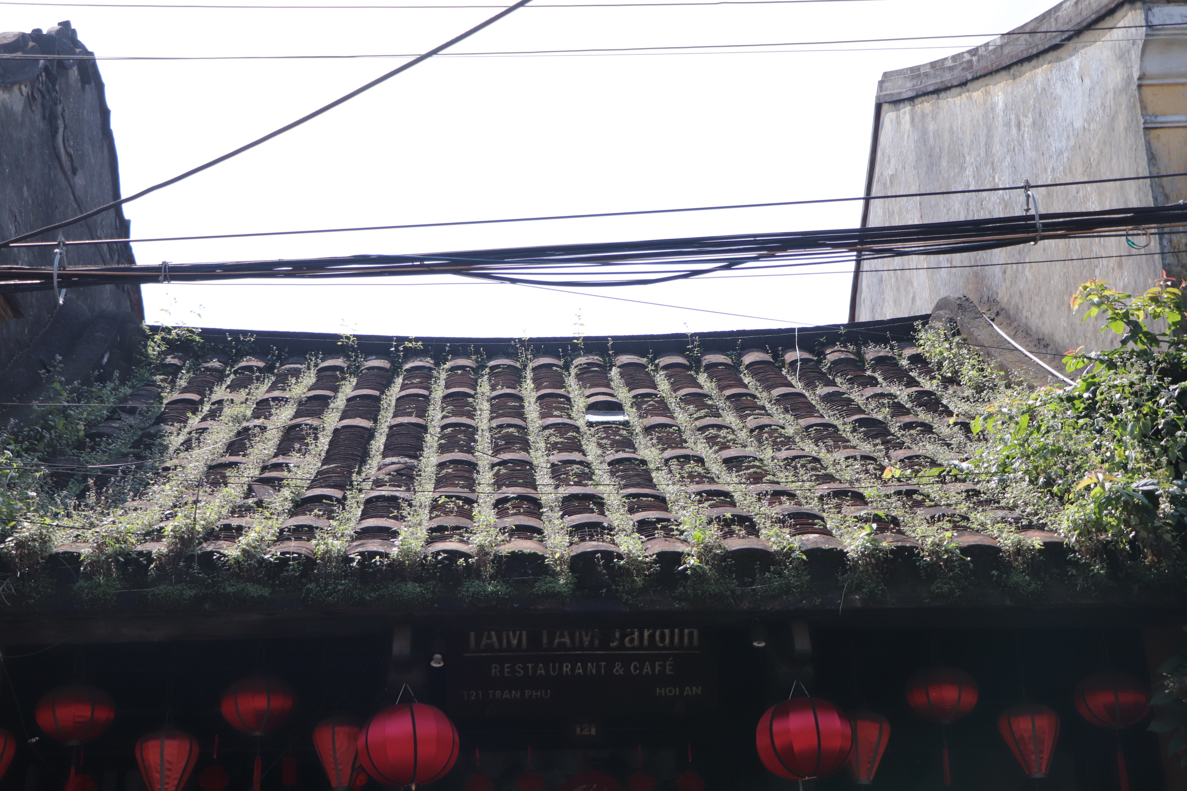 Du kh&aacute;ch khoe sắc tr&ecirc;n con đường duy nhất Việt Nam lọt top đẹp nhất thế giới- Ảnh 13.