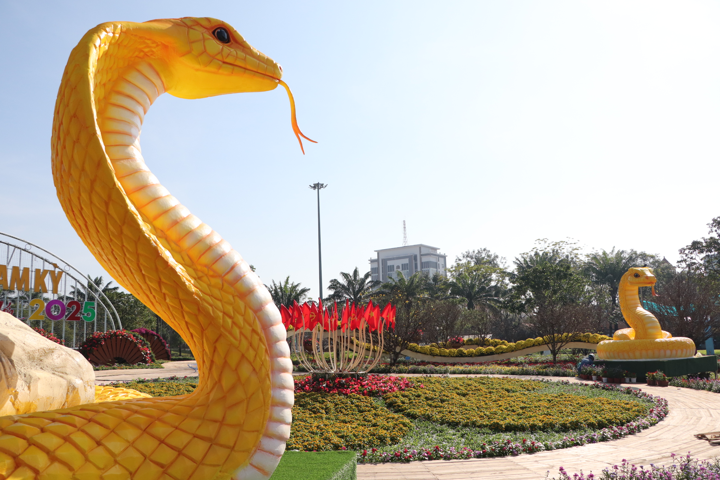 Linh vật rắn v&agrave;ng Quảng Nam nhận "mưa" lời khen- Ảnh 15.