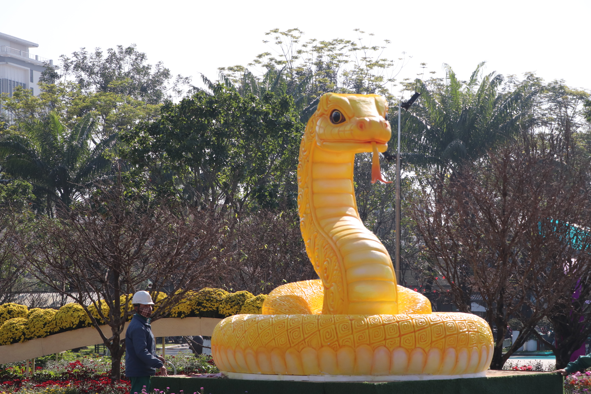 Linh vật rắn v&agrave;ng Quảng Nam nhận "mưa" lời khen- Ảnh 3.