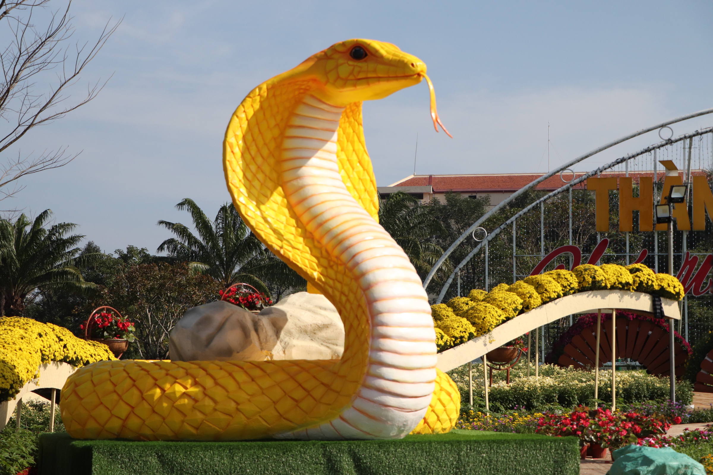 Linh vật rắn v&agrave;ng Quảng Nam nhận "mưa" lời khen- Ảnh 7.