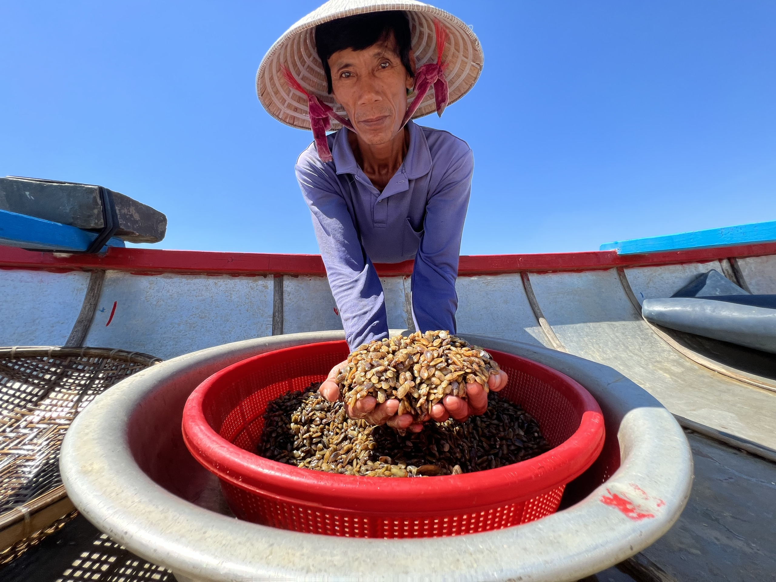 Don được người d&acirc;n x&atilde; Nghĩa H&ograve;a, TP Quảng Ng&atilde;i khai th&aacute;c.