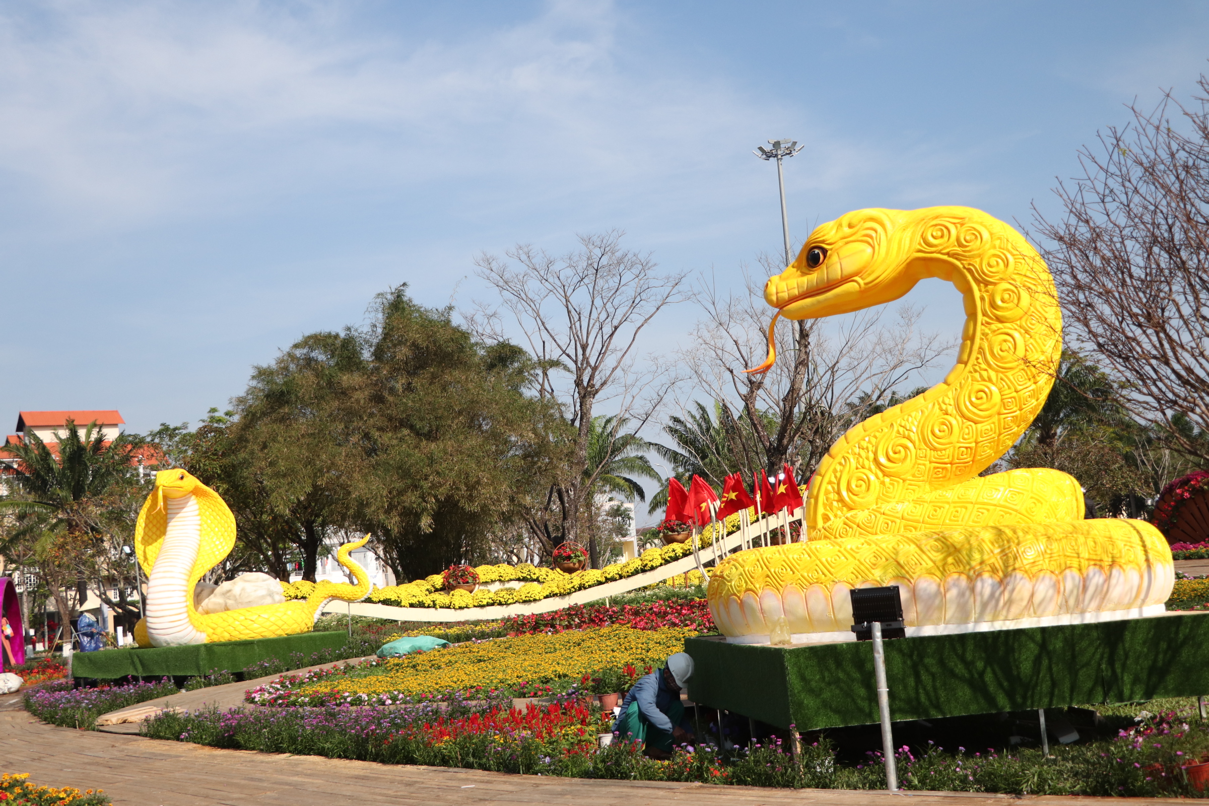 Linh vật rắn v&agrave;ng Quảng Nam nhận "mưa" lời khen- Ảnh 14.