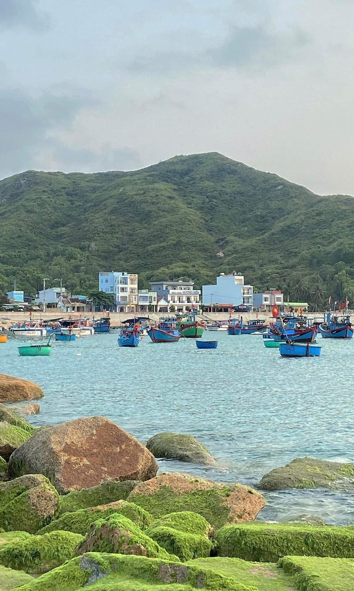 Đẹp ngỡ ng&agrave;ng m&ugrave;a r&ecirc;u xanh ở biển Quy Nhơn- Ảnh 12.