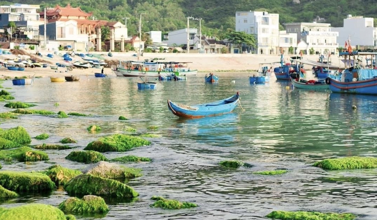 Đẹp ngỡ ng&agrave;ng m&ugrave;a r&ecirc;u xanh ở biển Quy Nhơn- Ảnh 6.