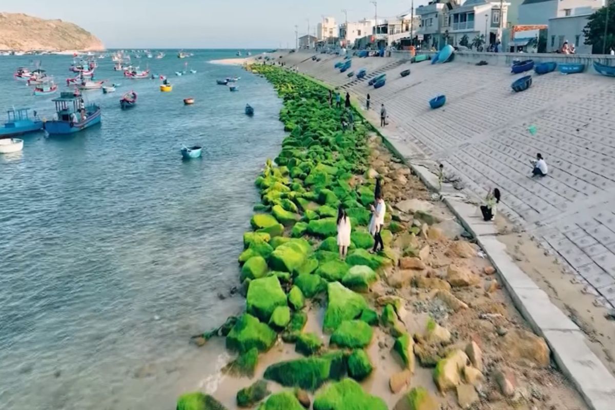 Đẹp ngỡ ng&agrave;ng m&ugrave;a r&ecirc;u xanh ở biển Quy Nhơn- Ảnh 10.