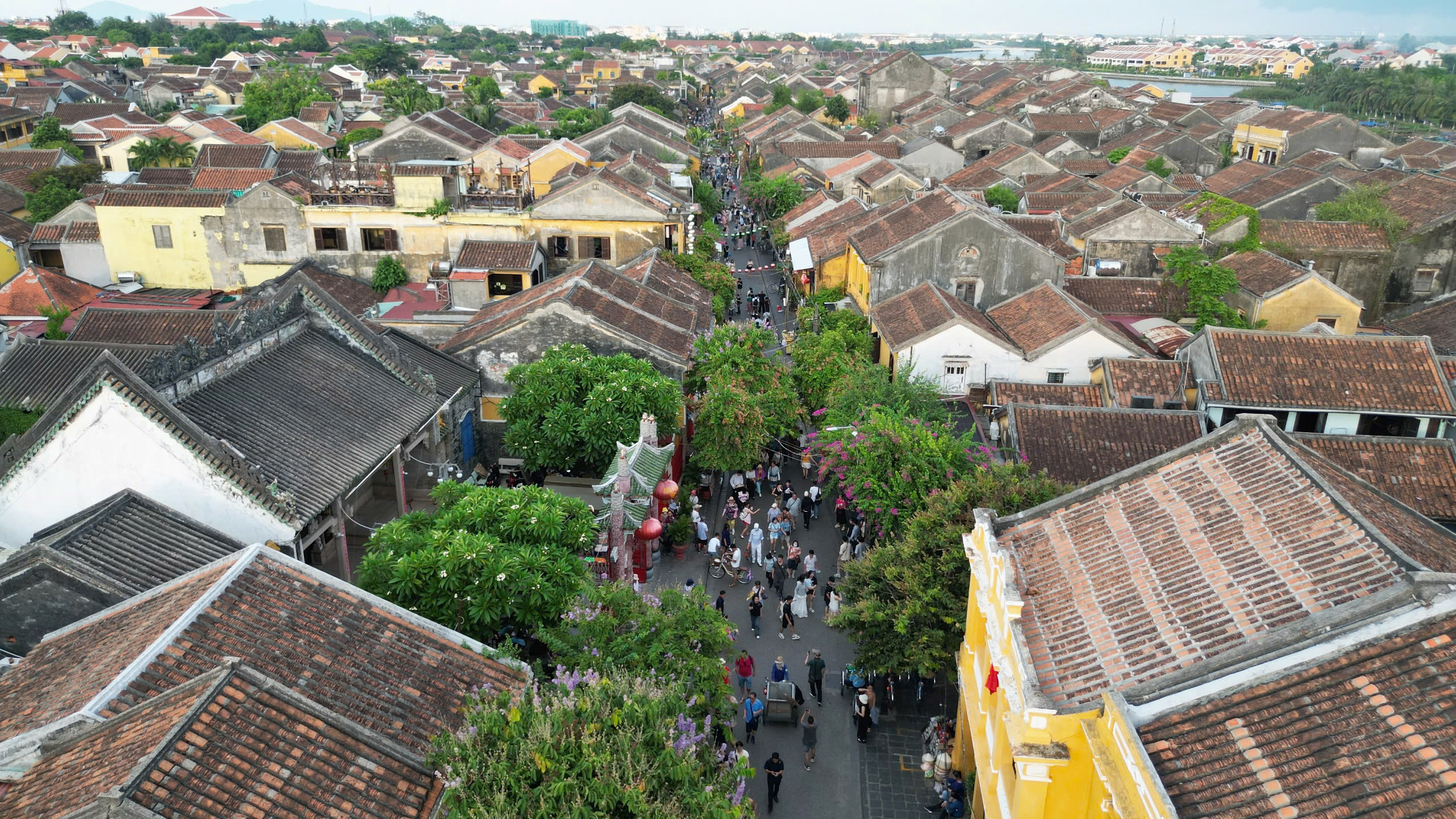 Du kh&aacute;ch khoe sắc tr&ecirc;n con đường duy nhất Việt Nam lọt top đẹp nhất thế giới- Ảnh 1.