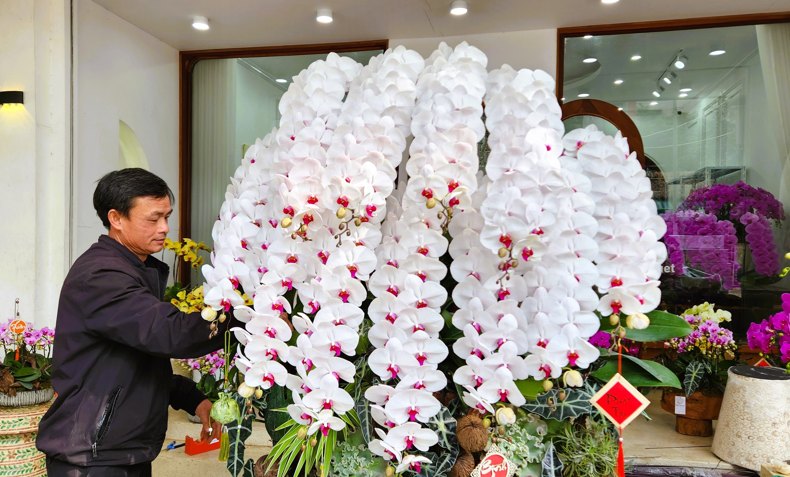 Kiếm cả trăm triệu đồng từ việc cắm hoa lan ng&agrave;y Tết- Ảnh 1.