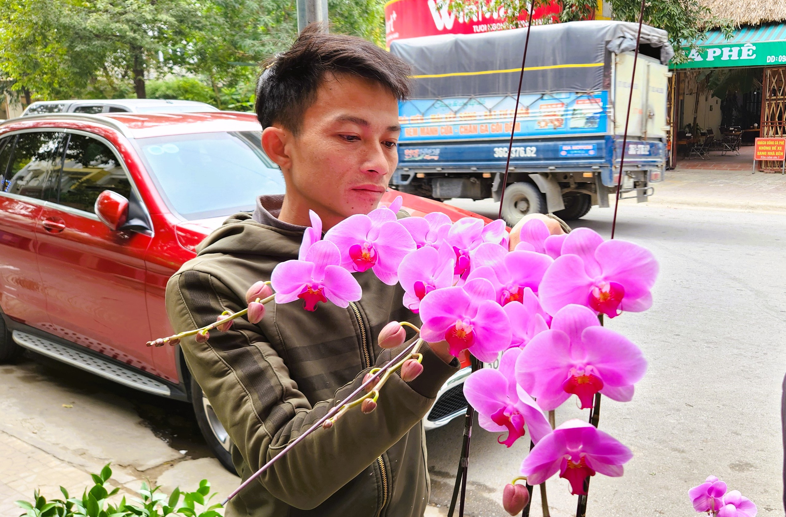 Kiếm cả trăm triệu đồng từ việc cắm hoa lan ng&agrave;y Tết- Ảnh 4.