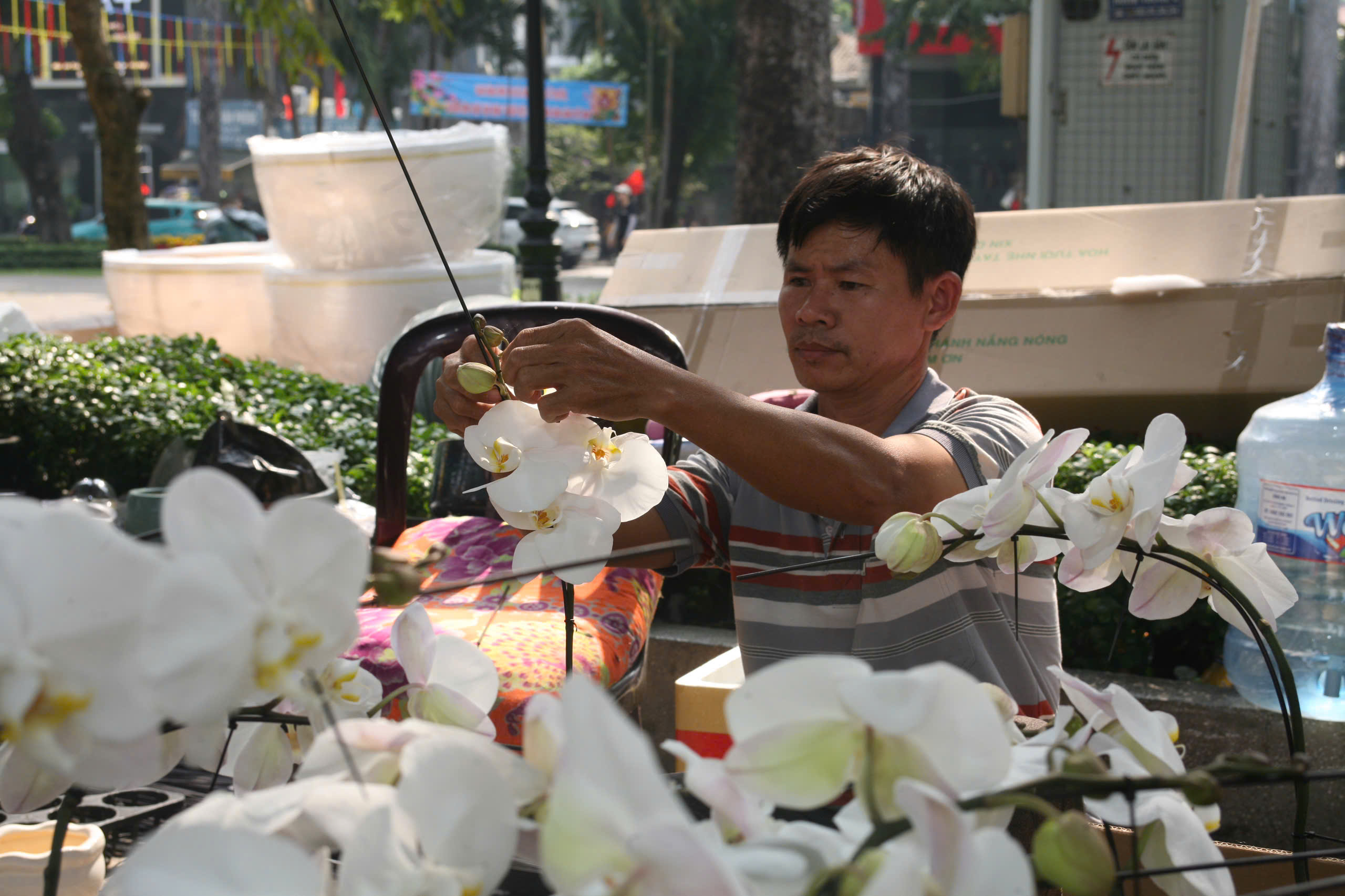 Thú chơi hoa kiểng dịp Tết và những giá trị văn hóa truyền thống- Ảnh 10.