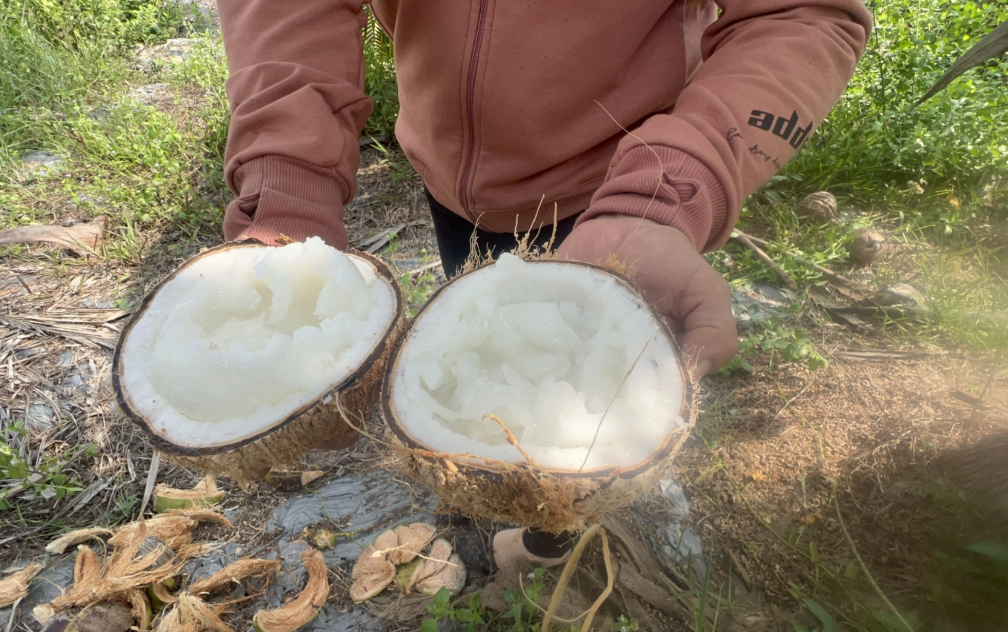 Những c&acirc;u chuyện th&uacute; vị về bưởi Năm Roi, dừa s&aacute;p ở miền T&acirc;y- Ảnh 8.