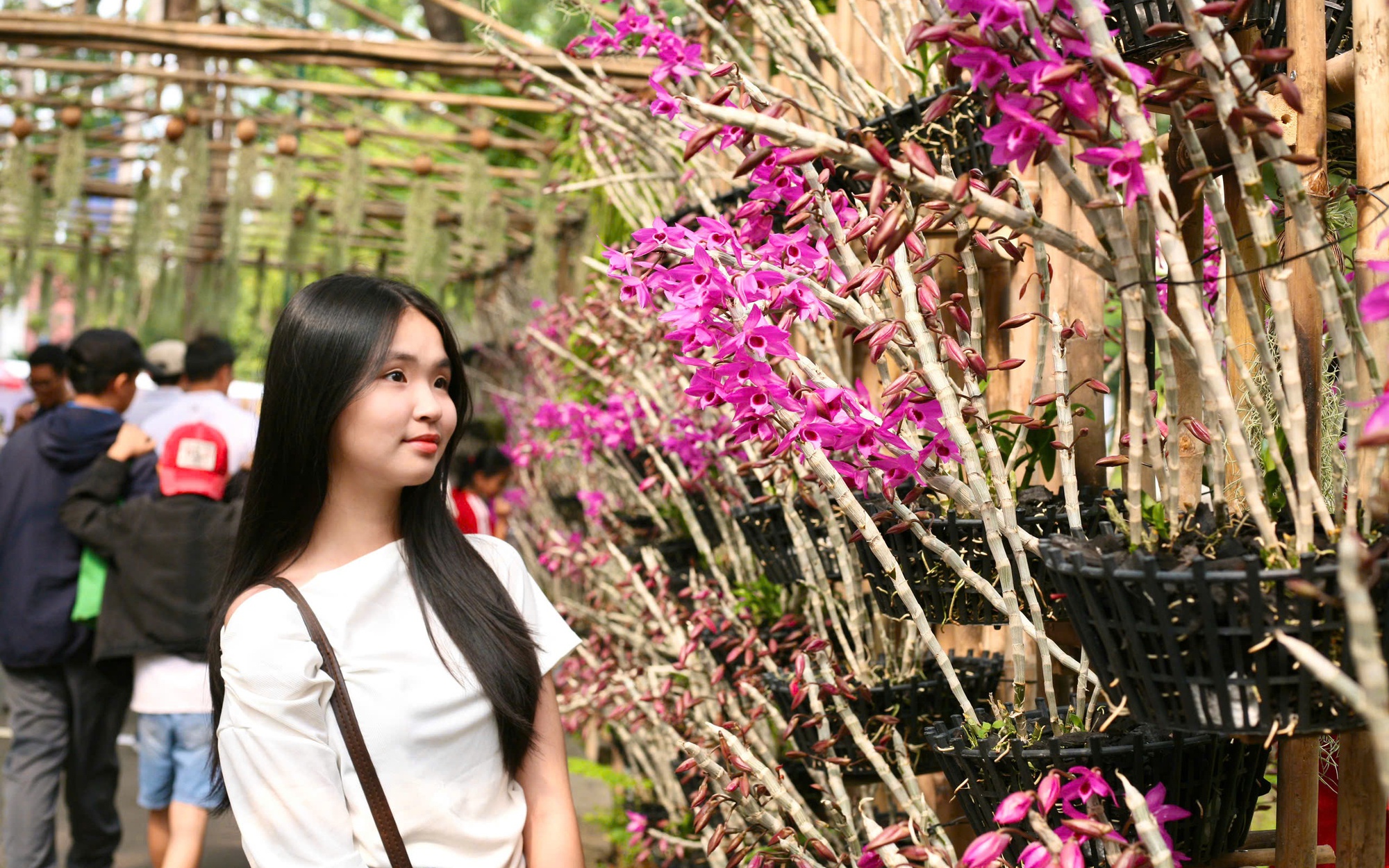 Hội hoa xuân TP HCM: Kỳ hoa dị thảo, điểm đến không thể bỏ lỡ