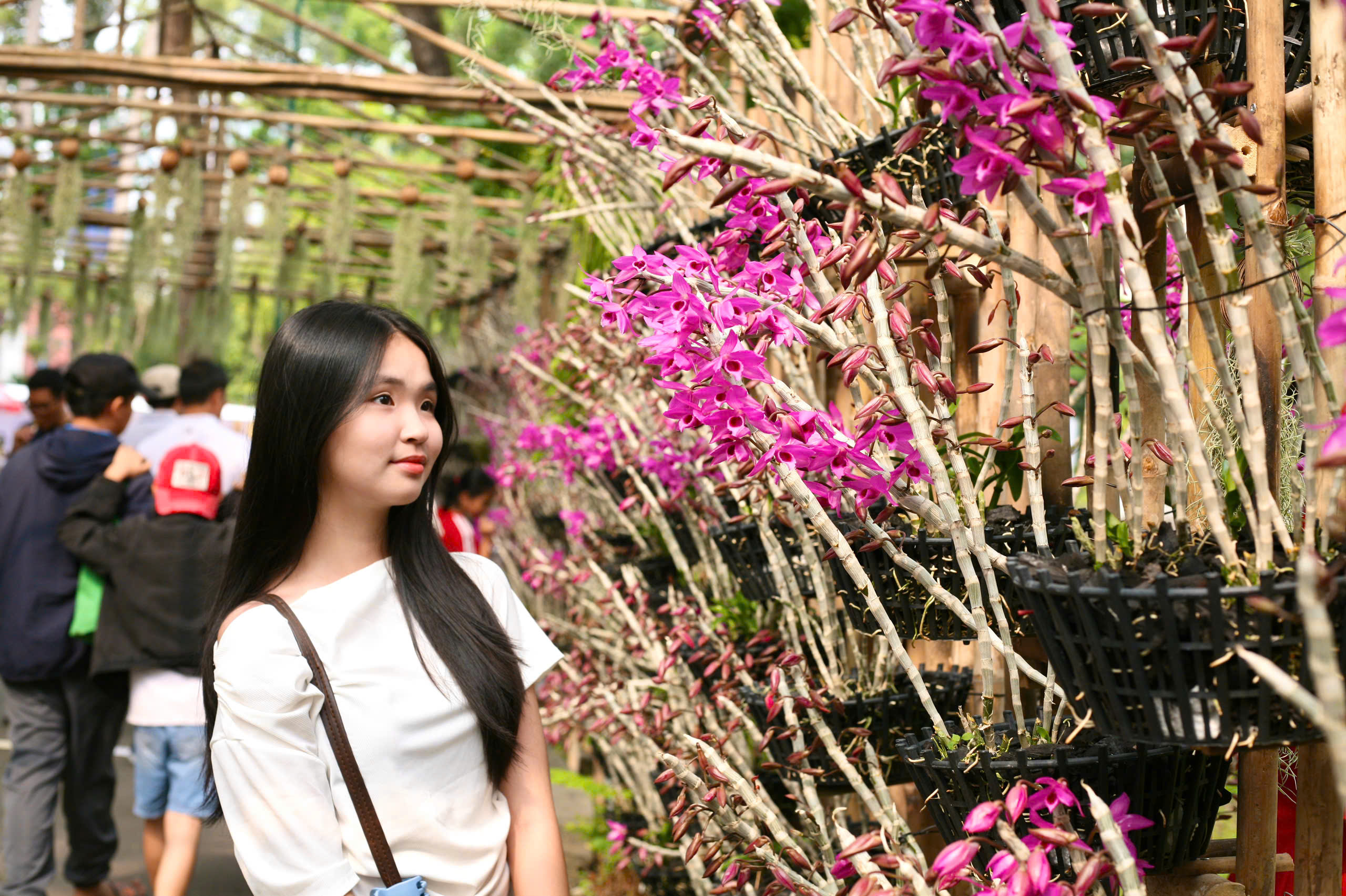 Hội hoa xu&acirc;n TP HCM: Kỳ hoa dị thảo, điểm đến kh&ocirc;ng thể bỏ lỡ- Ảnh 10.