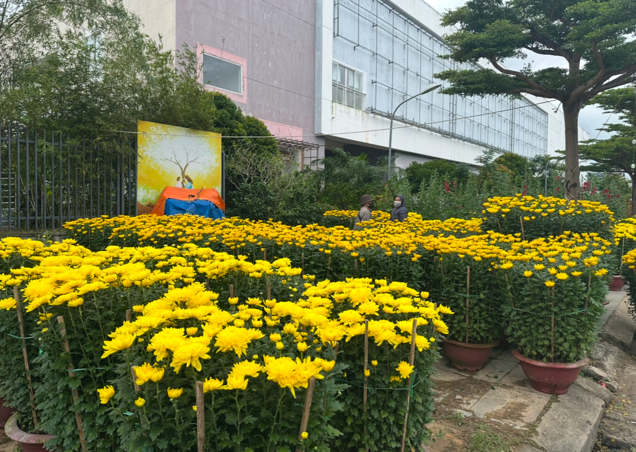 Người b&aacute;n nhiều hơn kh&aacute;ch mua, tiểu thương chợ hoa Đ&agrave; Nẵng lo mất Tết- Ảnh 1.