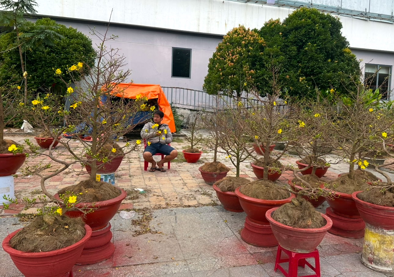 Người b&aacute;n nhiều hơn kh&aacute;ch mua, tiểu thương chợ hoa Đ&agrave; Nẵng lo mất Tết- Ảnh 9.