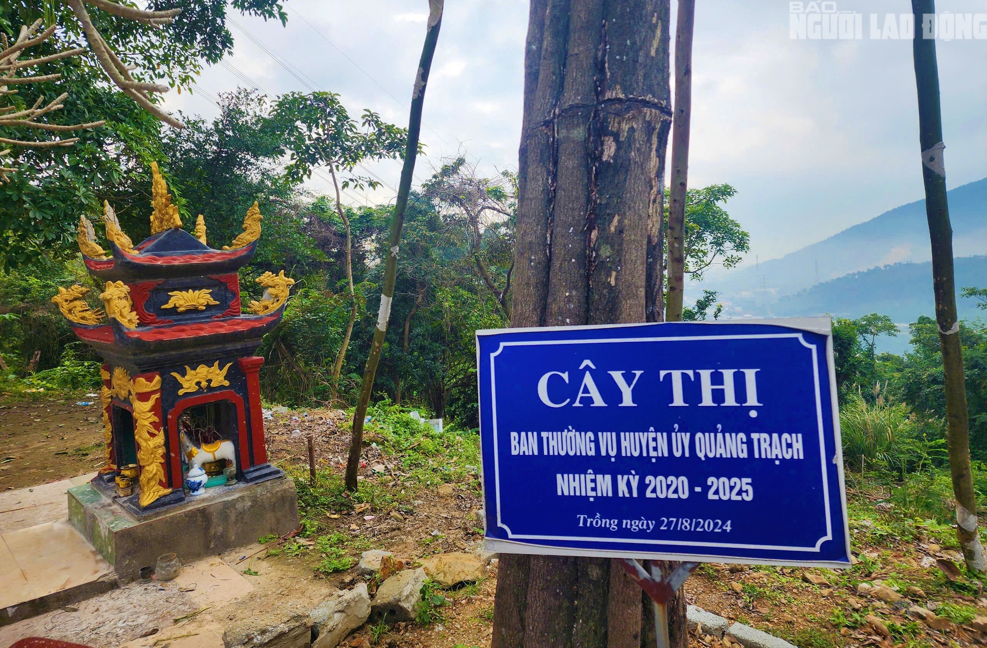 B&iacute; ẩn "con đường thi&ecirc;n l&yacute;" Bắc - Nam gần 200 năm ở Quảng B&igrave;nh- Ảnh 11.
