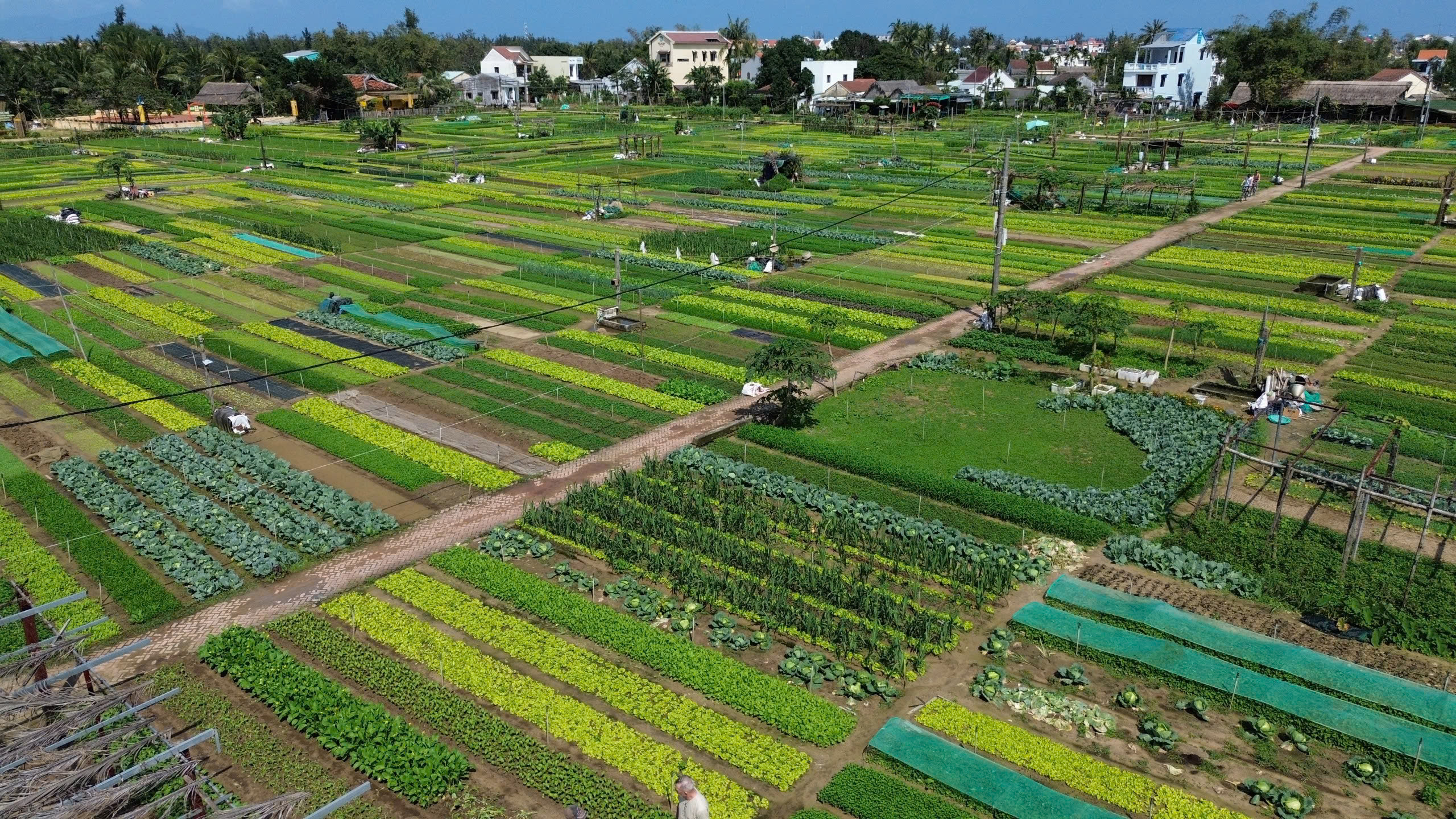 &ldquo;L&agrave;ng du lịch tốt nhất&rdquo; thế giới c&oacute; g&igrave; khiến du kh&aacute;ch m&ecirc; mẩn?- Ảnh 2.