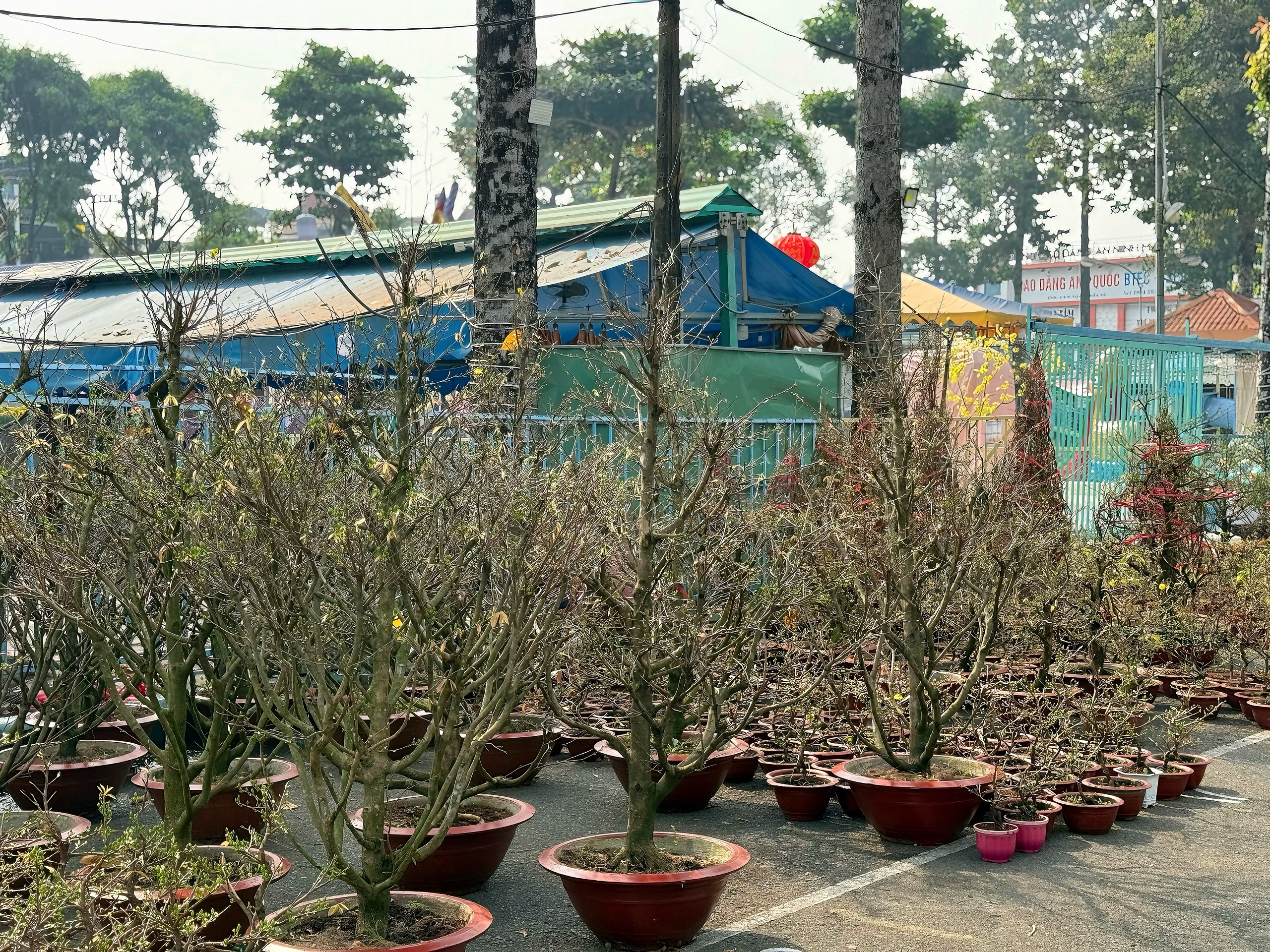 Những phong tục đẹp trong gia đ&igrave;nh Việt dịp Tết- Ảnh 4.