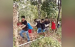 Bắt trăn khổng lồ bằng tay, 8 người khi&ecirc;n ra khỏi rừng