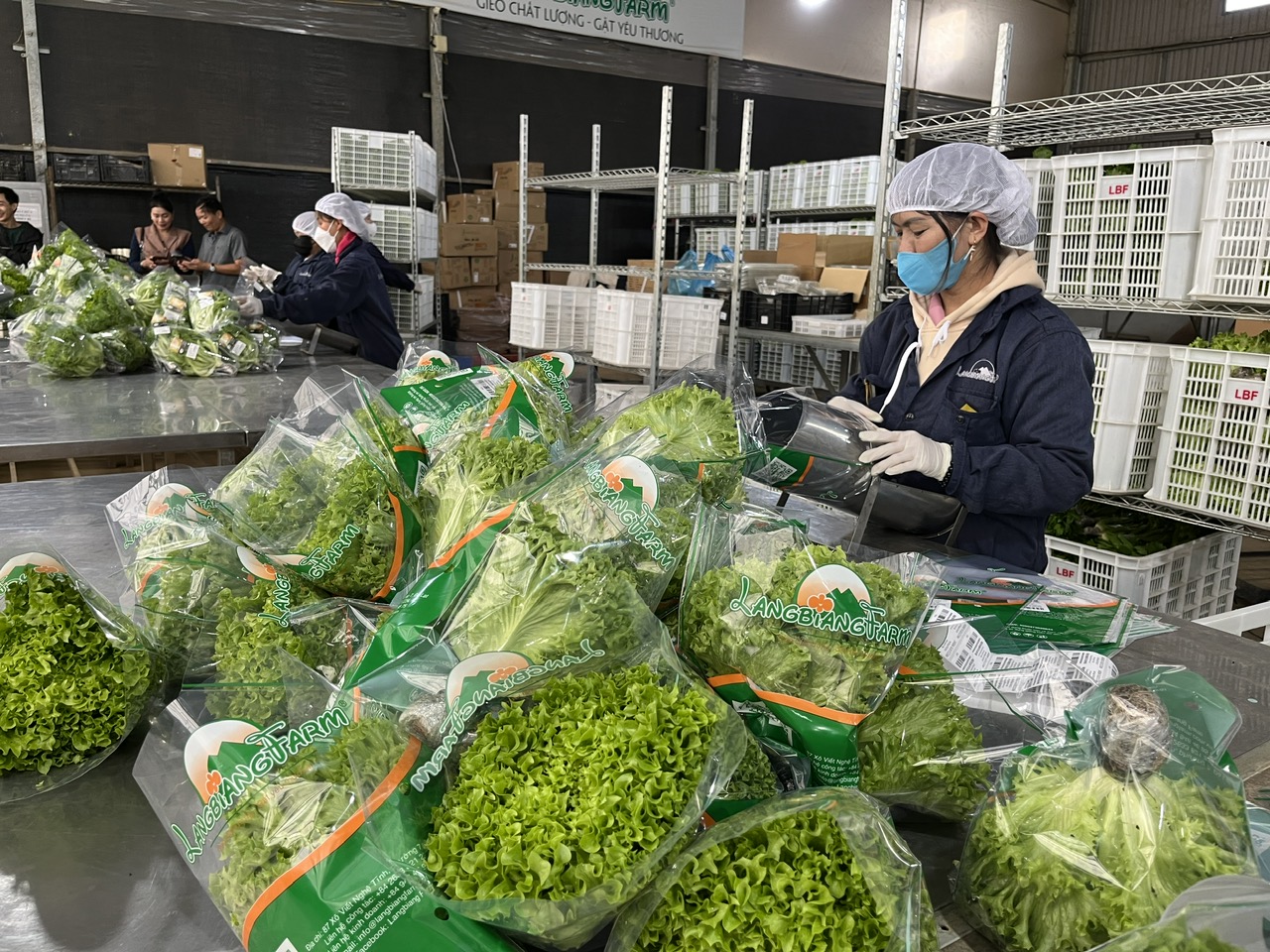 Thiết lập chuỗi cung ứng thực phẩm an to&agrave;n cho người d&acirc;n TP HCM- Ảnh 3.