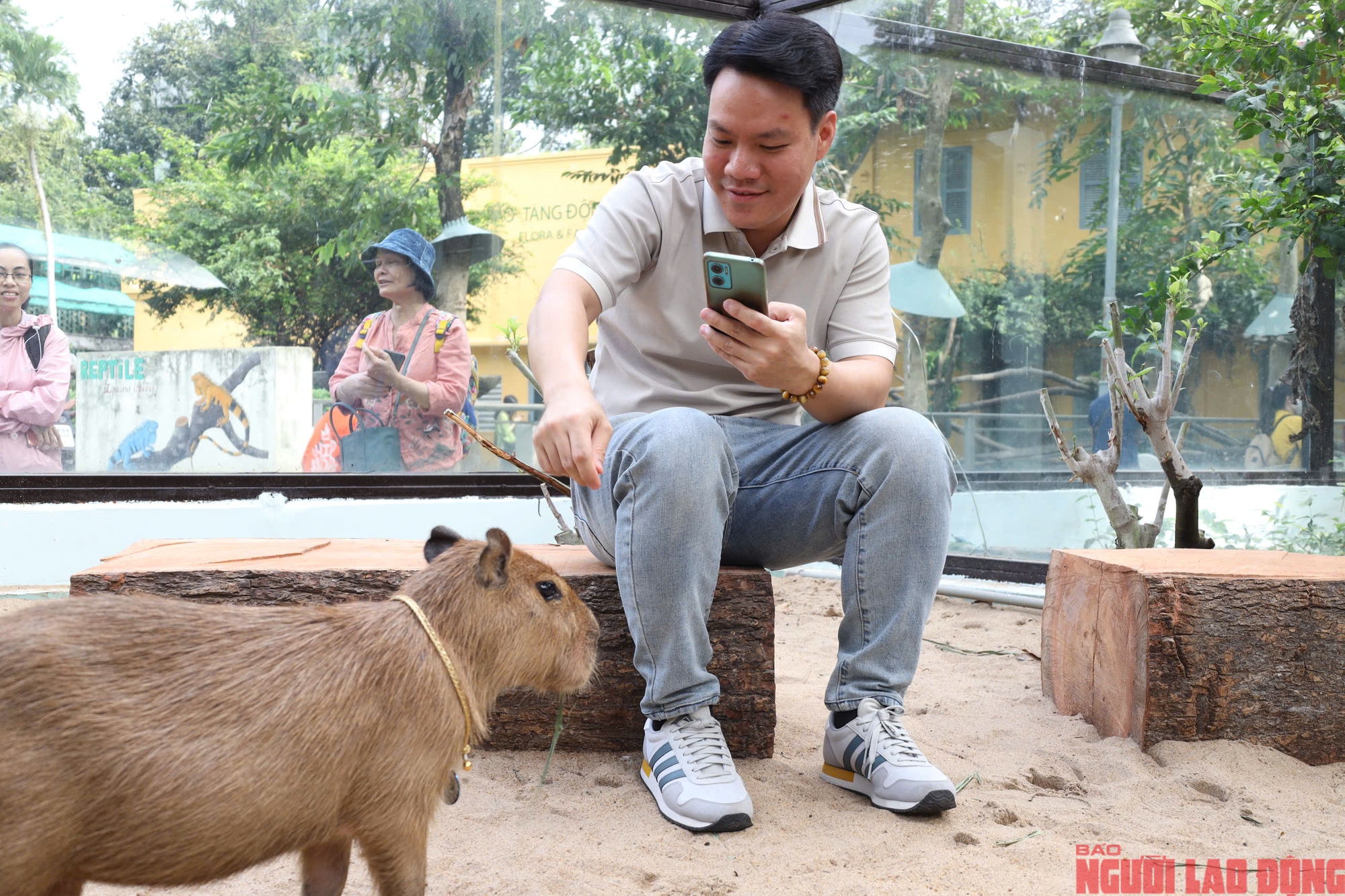 Ngắm "bộ trưởng ngoại giao trong giới động vật" tại Thảo Cầm Vi&ecirc;n S&agrave;i G&ograve;n- Ảnh 6.