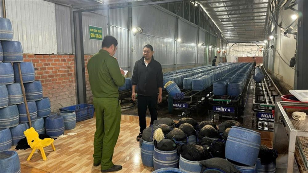 Long An tăng cường kiểm tra chuỗi cung ứng h&agrave;ng h&oacute;a tại B&aacute;ch H&oacute;a Xanh- Ảnh 1.