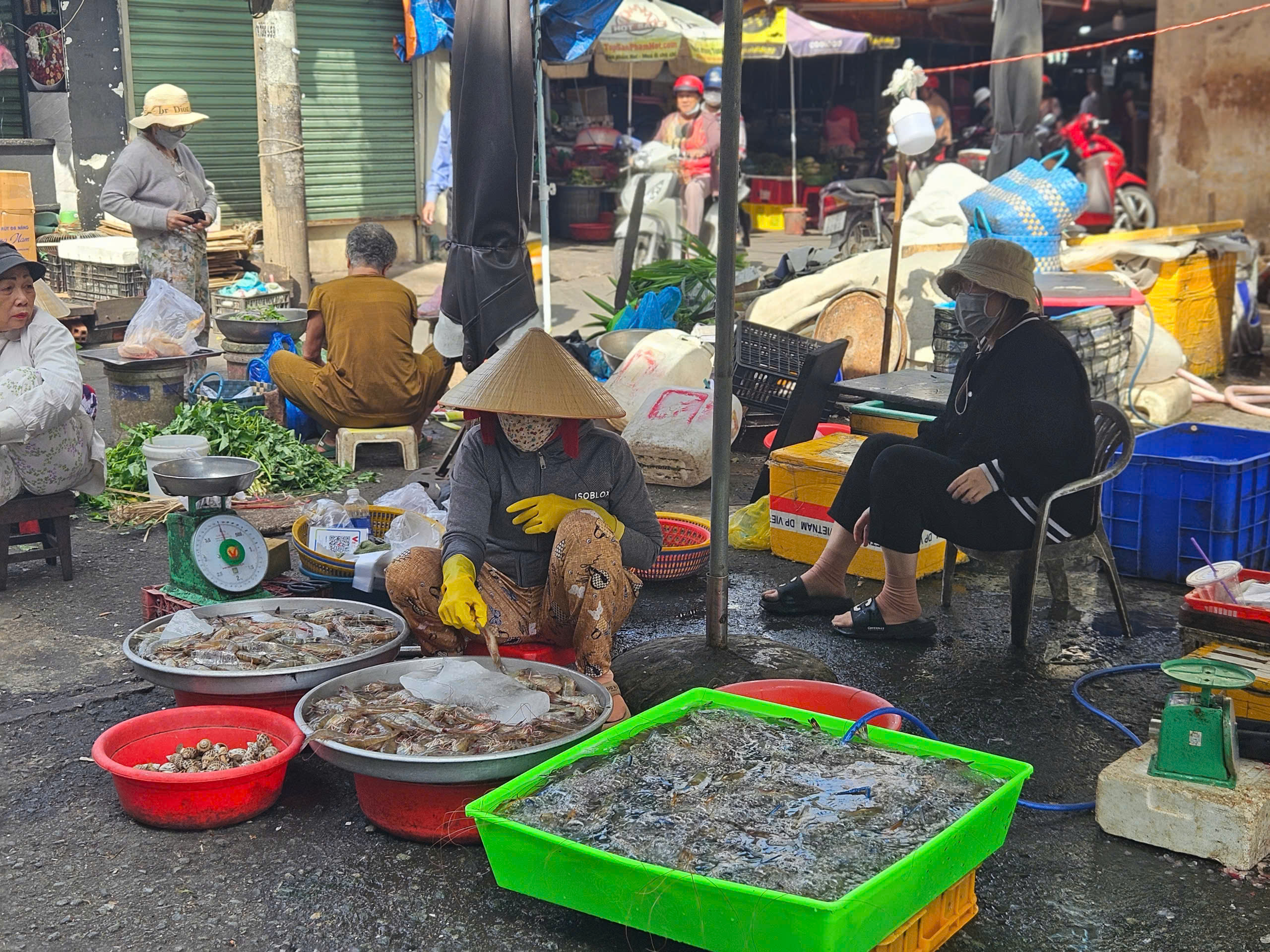 Si&ecirc;u thị, chợ m&ugrave;ng 2 Tết: Kh&aacute;ch "lao v&agrave;o" quầy thực phẩm tươi sống- Ảnh 8.