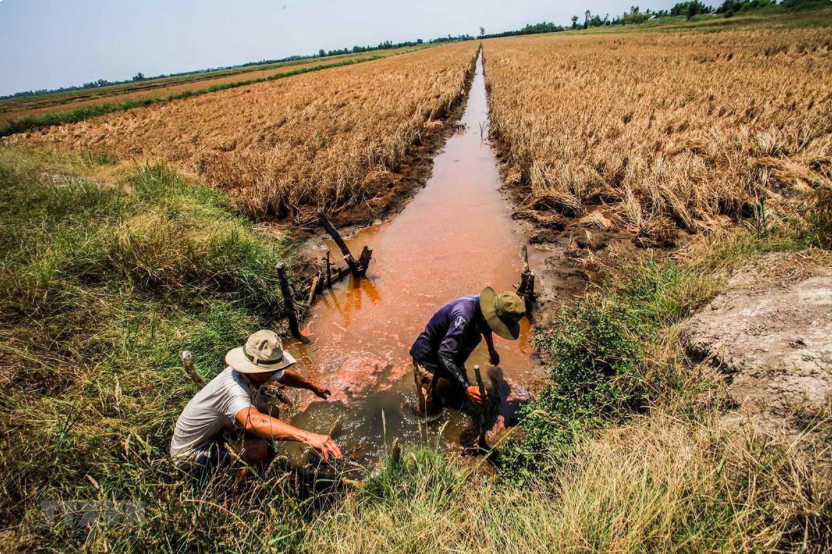 Diễn biến tình hình xâm nhập mặn ở Nam Bộ- Ảnh 1.