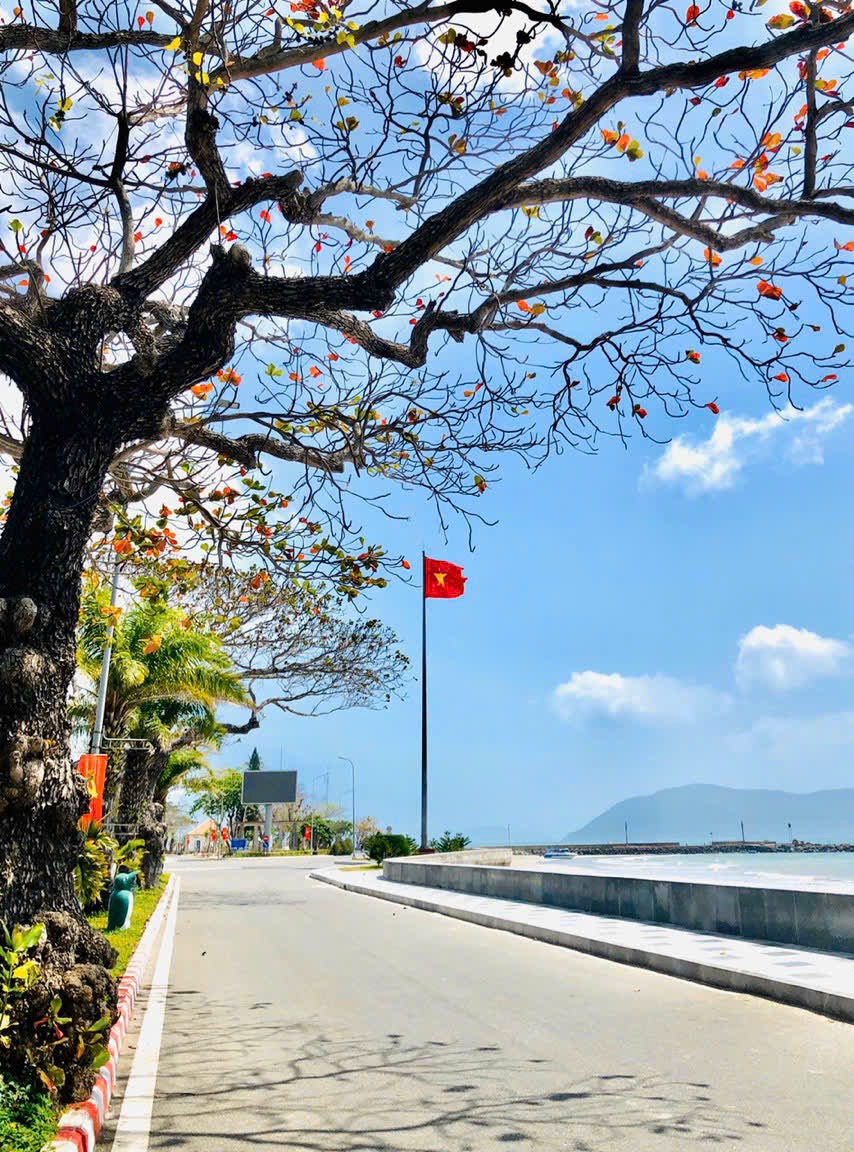 B&atilde;i biển khiến bao người m&ecirc; đắm ở C&ocirc;n Đảo- Ảnh 4.
