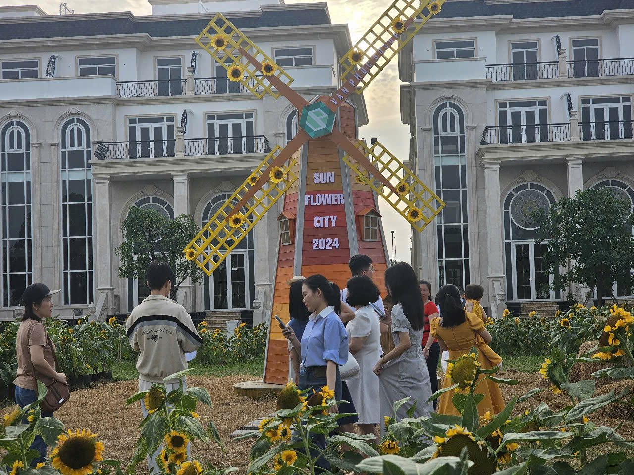 Người d&acirc;n &ugrave;n &ugrave;n check-in tại vườn hoa hướng dương lớn nhất TP HCM- Ảnh 4.