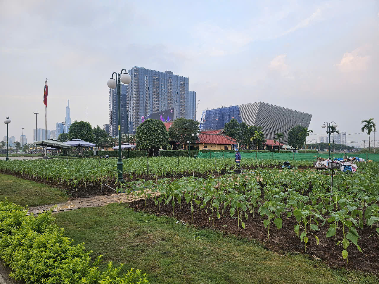 Người d&acirc;n &ugrave;n &ugrave;n check-in tại vườn hoa hướng dương lớn nhất TP HCM- Ảnh 7.