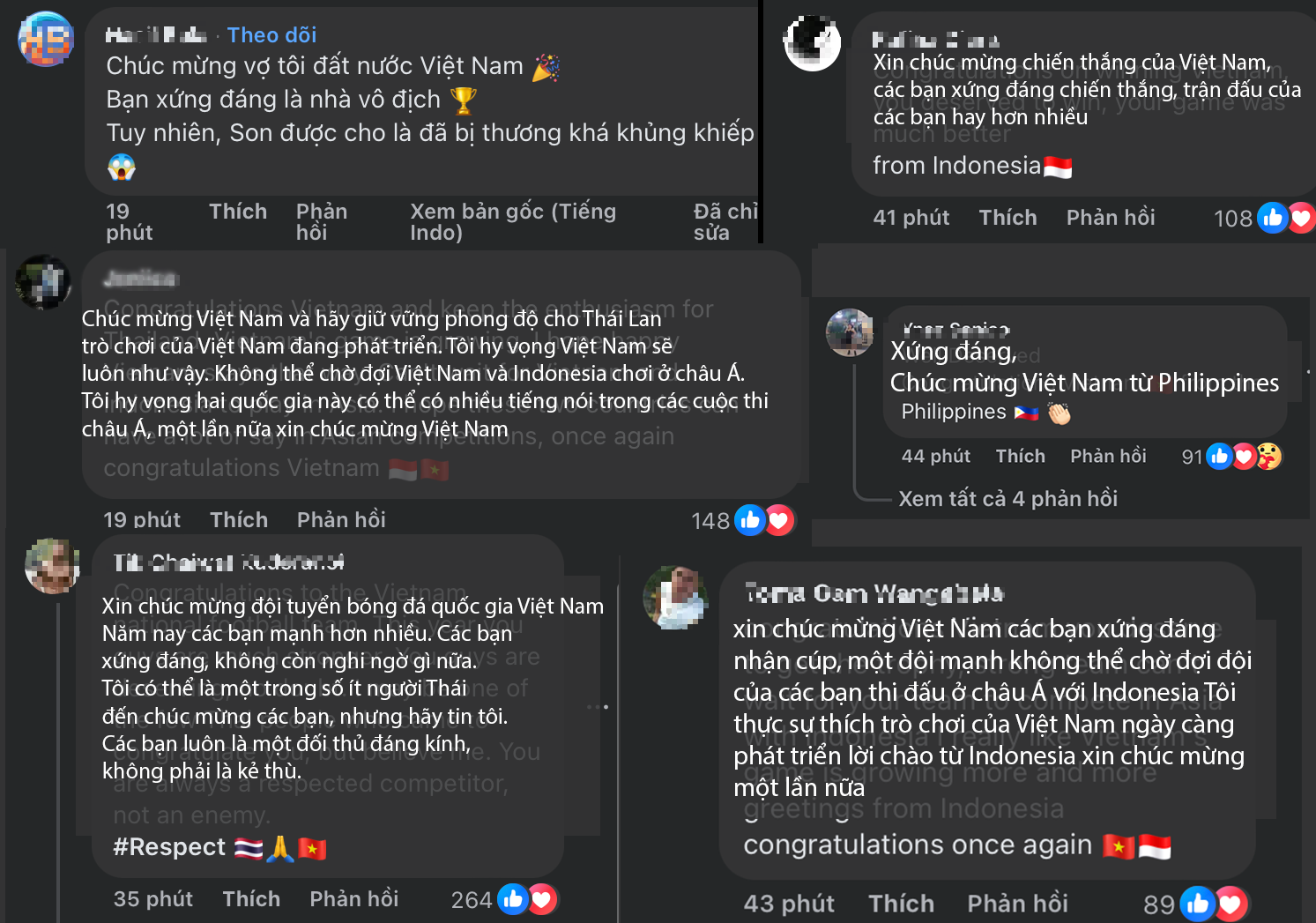 Phản ứng của CĐV Đông Nam Á khi Việt Nam vô địch ASEAN Cup 2024- Ảnh 1.