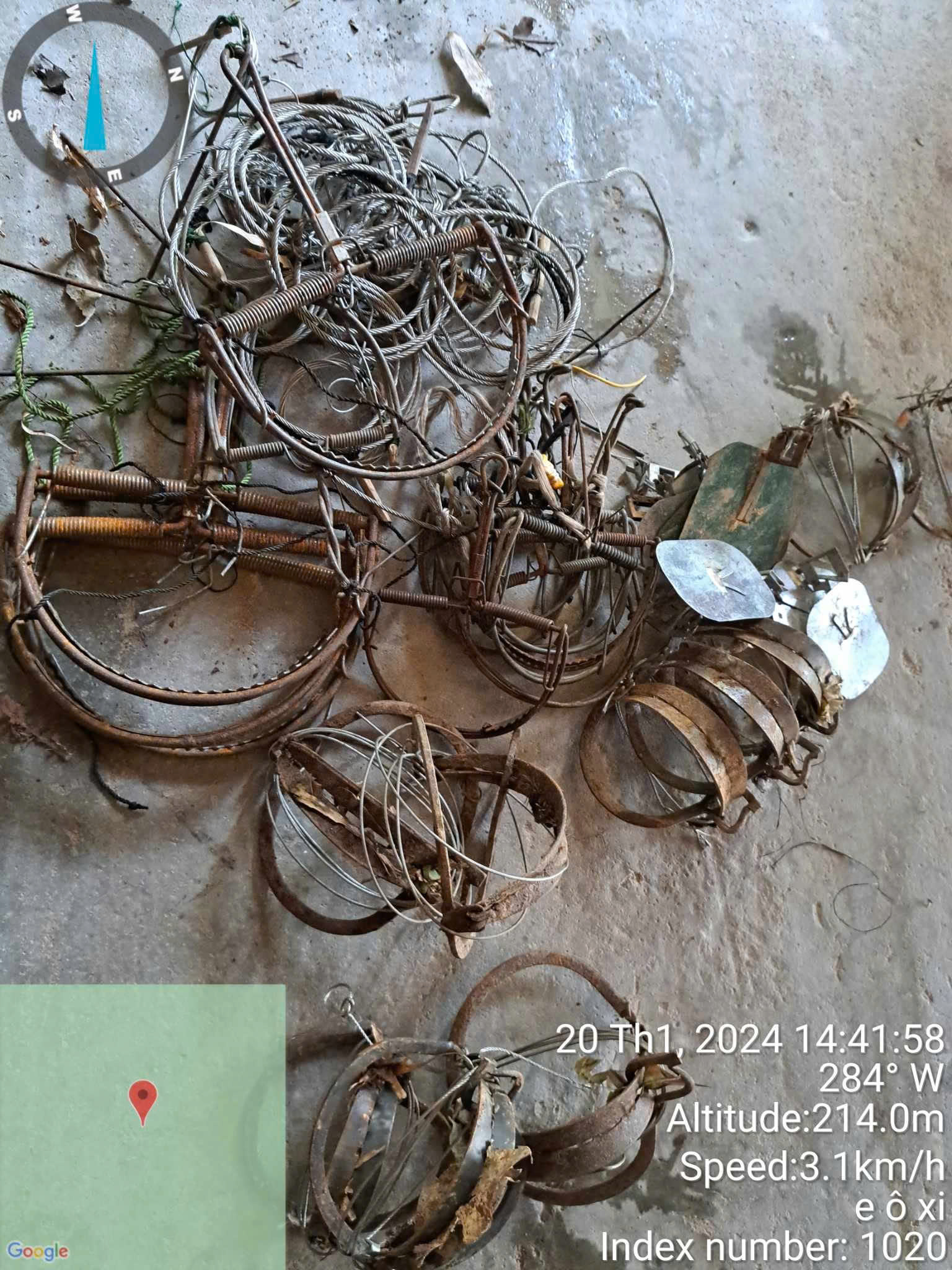 Bẫy ảnh bất ngờ ghi nhận nhiều động vật qu&yacute; hiếm tại khu bảo tồn ở Quảng Nam- Ảnh 29.