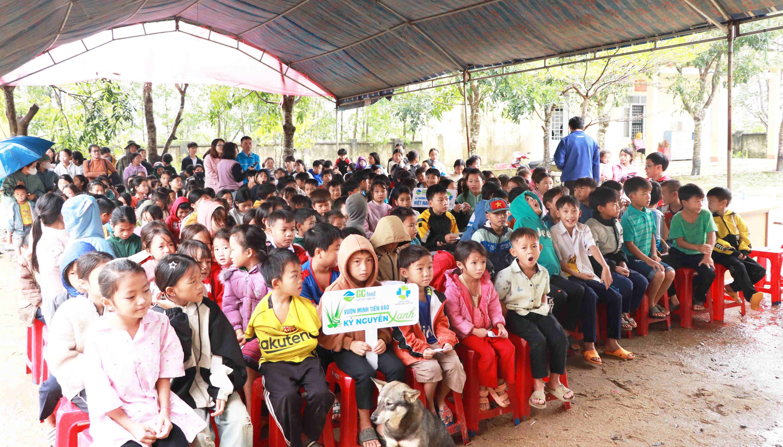 Một buổi s&aacute;ng đặc biệt tr&ecirc;n v&ugrave;ng cao T&acirc;y Nguy&ecirc;n- Ảnh 1.