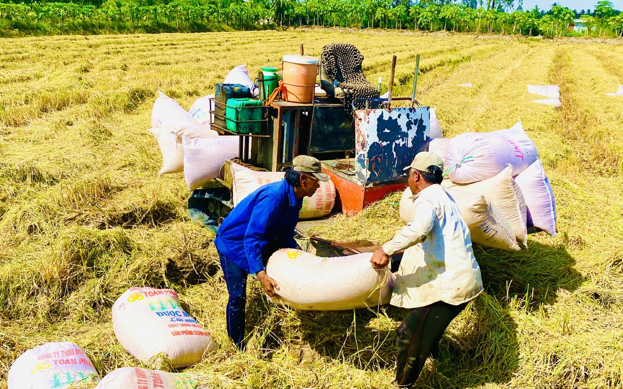 Xuất khẩu gạo gặp th&aacute;ch thức mới