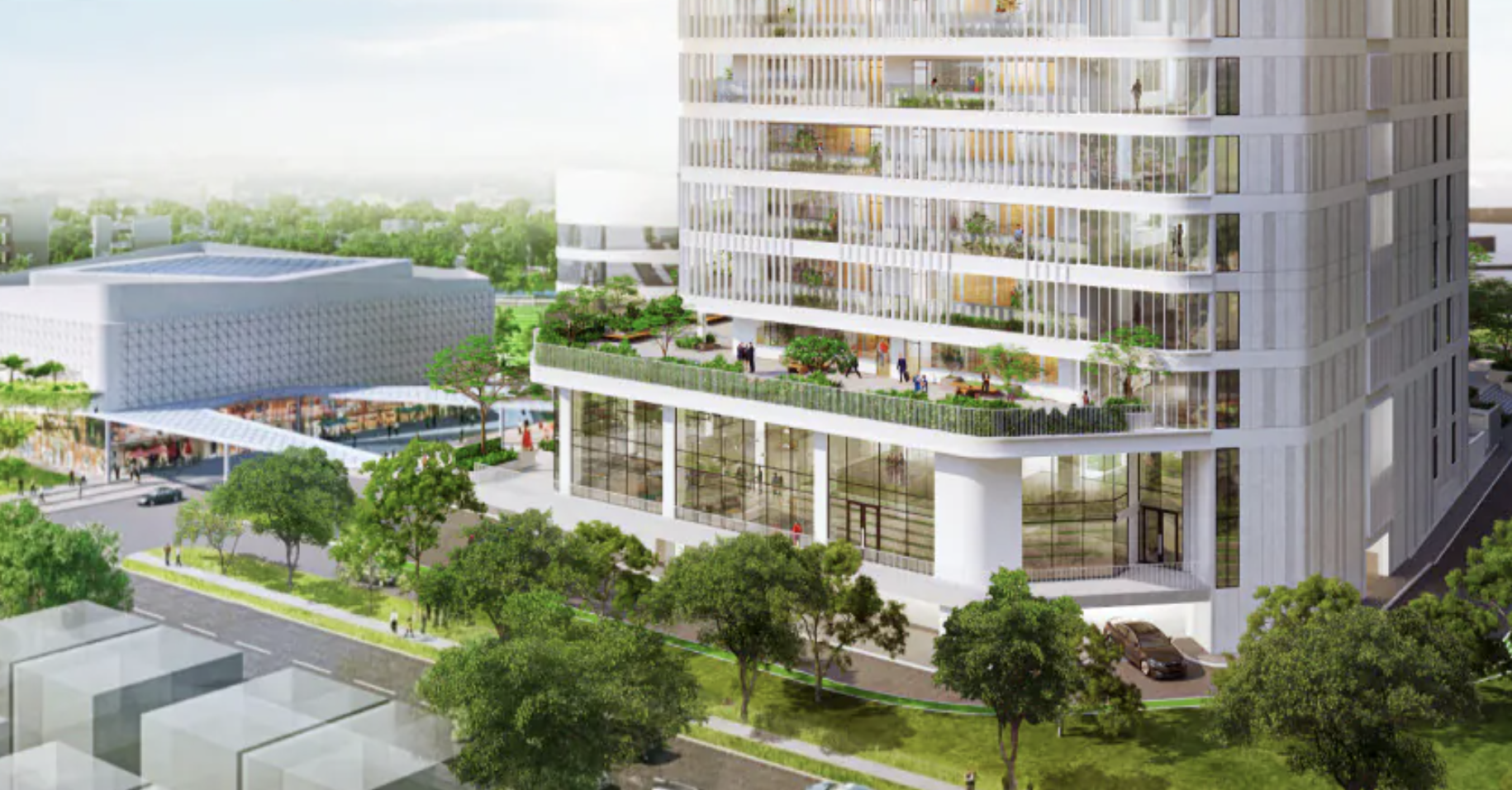 UMT tạm đ&igrave;nh chỉ chức vụ đối với TS Nguyễn Tr&agrave; Giang- Ảnh 1.