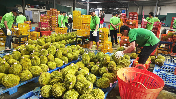 Xuất khẩu đ&oacute;n s&oacute;ng thị trường tỉ d&acirc;n - Ảnh 1.